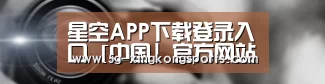 公司动态