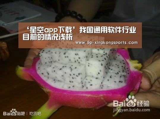 ‘星空app下载’我国通用软件行业目前的情况浅析(图1) 星空app下载
