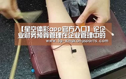 【星空体彩app官方入口】论企业财务预算管理在企业管理中的重要作用(图1) 星空体彩app官方入口